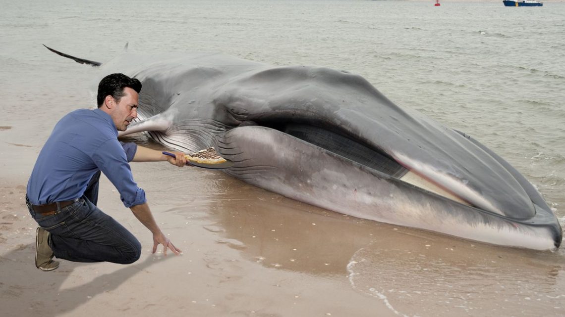 The Kindest Man Alive: Jon Hamm Made Crepes For A Beached Whale