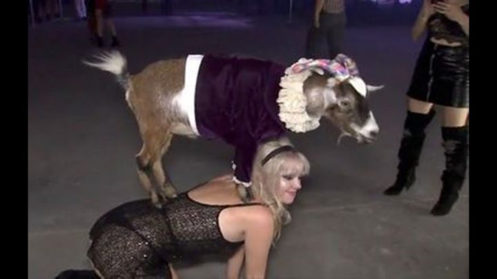 ‘Dwarf Goat Parties’ New Trend in Satanic Hollywood & LA
