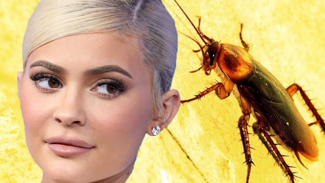 Kylie Jenner Reveals Cockroach On Dream Kardashian’s Birthday Cake | Hollywoodlife