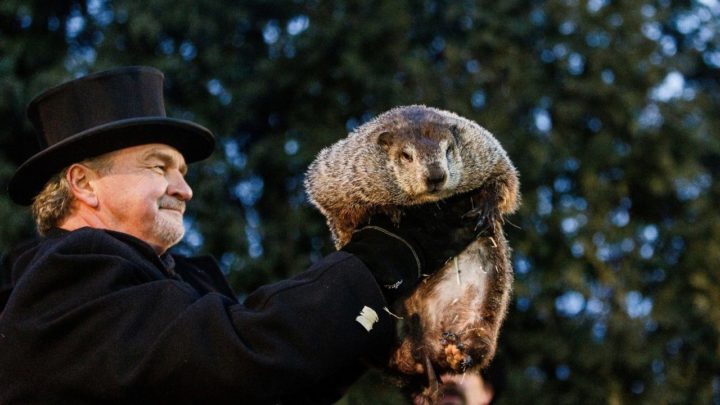 Groundhog Day: Punxsutawney Phil doesn’t see his shadow, predicts an early spring