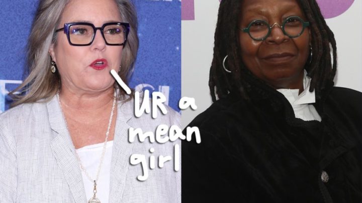 Rosie ODonnell Says Working With Whoopi Goldberg On ‘The View’ Was ‘The Worst Experience’ Shes Ever Had On Live TV! – Perez Hilton