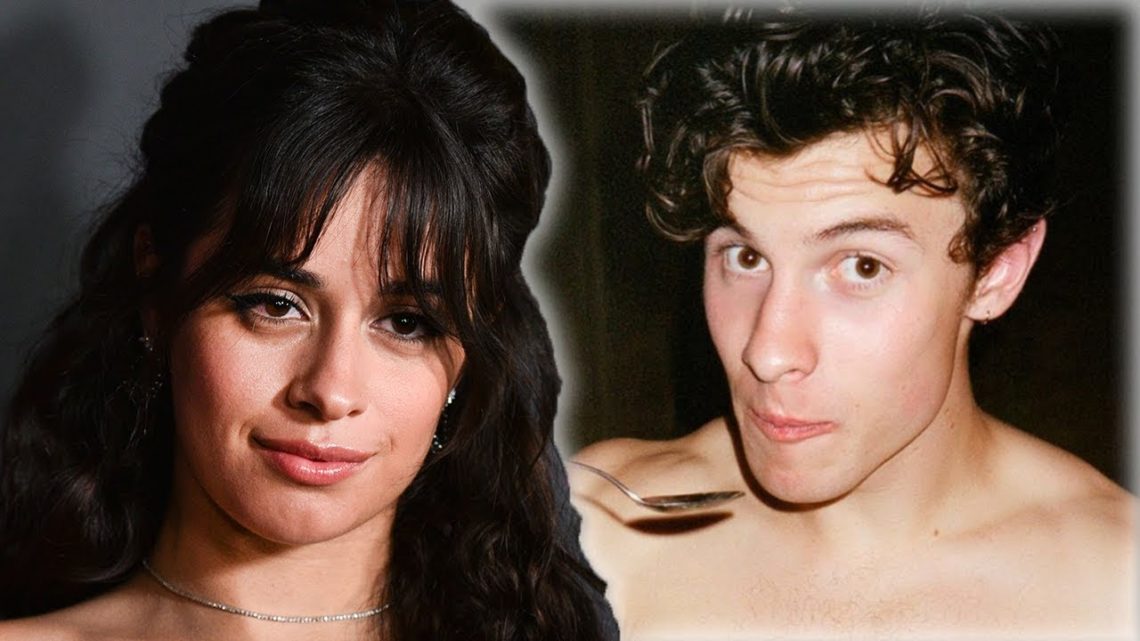 Camila Cabello Twerks To Liar & Defends Shawn Mendes PDA In New Interview