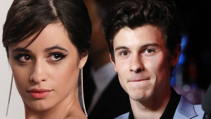 Camila Cabello Unfollows Shawn Mendes Fans After Mean Comments