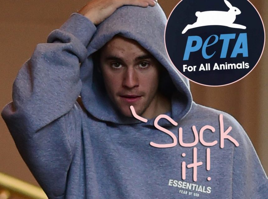 Justin Bieber Tells PETA To ‘Suck It’ After They Call Him Out Over Exotic Kittens! – Perez Hilton