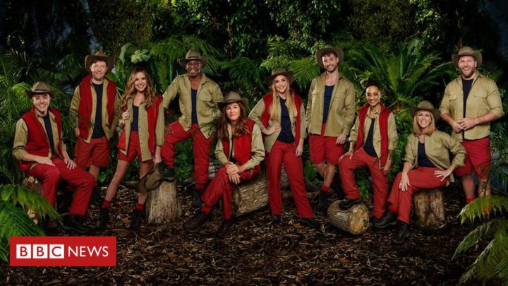 No live insects to be eaten on I’m A Celeb