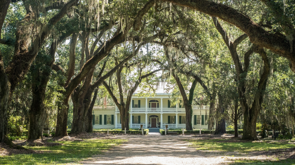 Pinterest Will Stop Promoting Former Slave Plantations As Wedding Venues | Betches