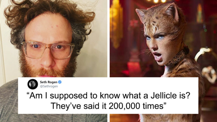 Seth Rogen Decides To Watch Cats While In Quarantine, Gets High, And Writes A Review