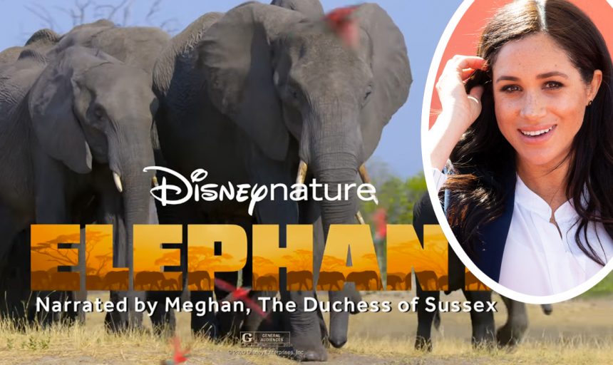 Meghan Markle’s Disney Narration – What The Critics Are Saying! – Perez Hilton